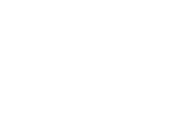 FIB
